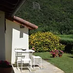El Olivo