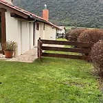 El Olivo * Ojedo