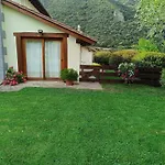 El Olivo * Ojedo