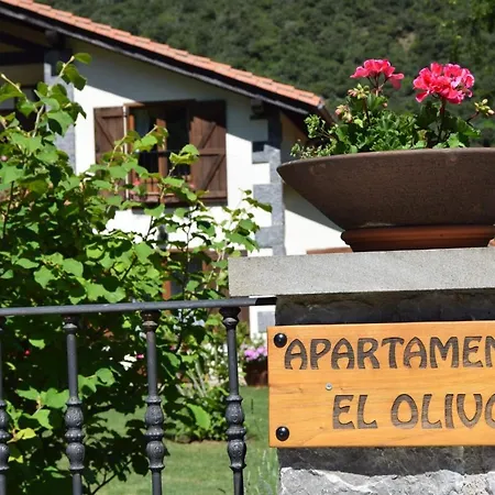 Apartman El Olivo Ojedo