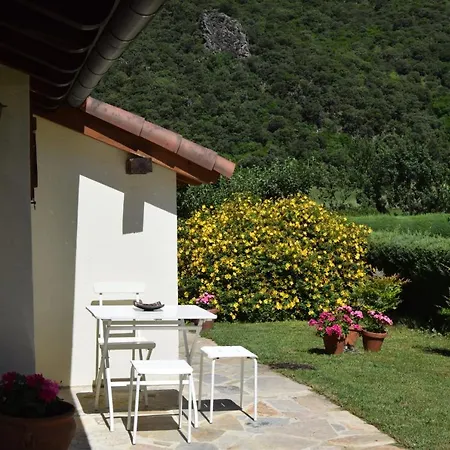 El Olivo
