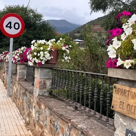 Excepcional El Olivo Ojedo