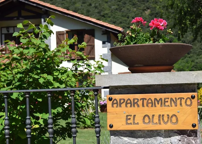 Apartamento El Olivo Ojedo